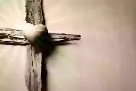 Holy week & Easter